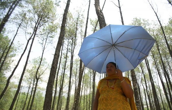 Nepalis hold trees to claim Guinness