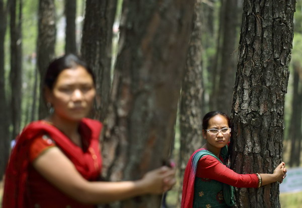 Nepalis hold trees to claim Guinness