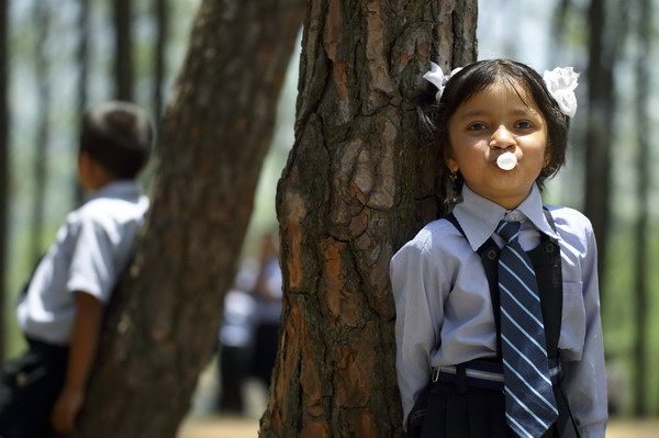 Nepalis hold trees to claim Guinness