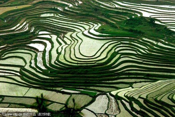 Sowing time on watery terraces in SW China