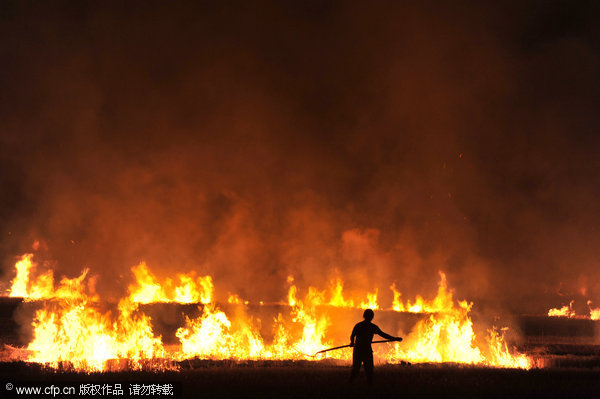 Fires rage in wheat fields after harvest