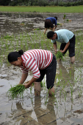 Relief as torrential rains take a break