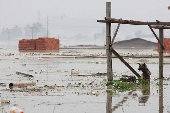 Dam bursts, people evacuated in E China province