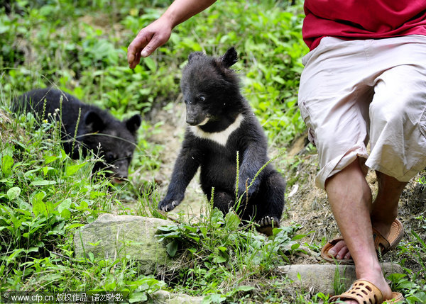 Farmer helps with the bear necessities of life