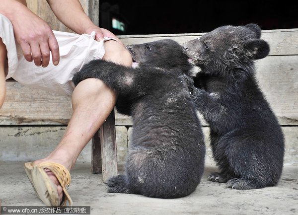 Farmer helps with the bear necessities of life