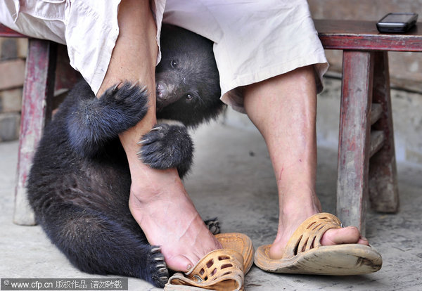 Farmer helps with the bear necessities of life