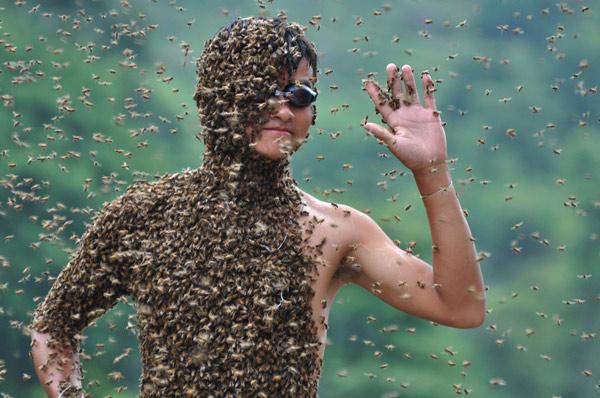 Daredevil farmers compete for heavier bee cloaks