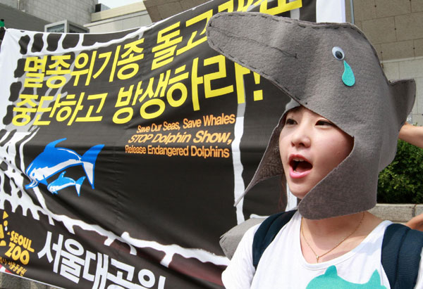 South Koreans march for marine mammals