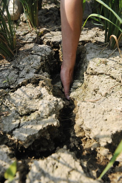 Guizhou desperate for water as drought persists