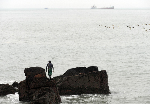 Migrant seashell collectors