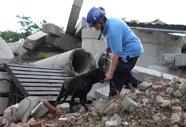 Retired dog of 9/11 keen on search cause