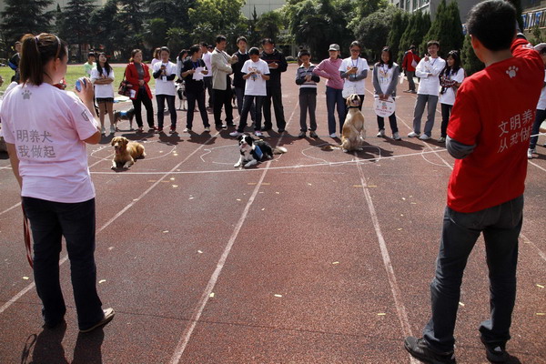 Canines compete in sports meet