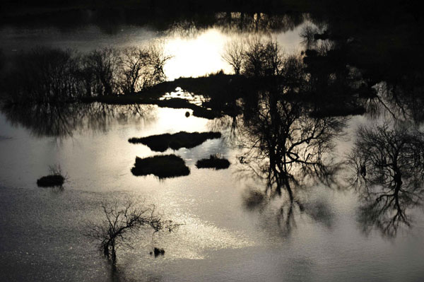 Autumn photos: Wetland view