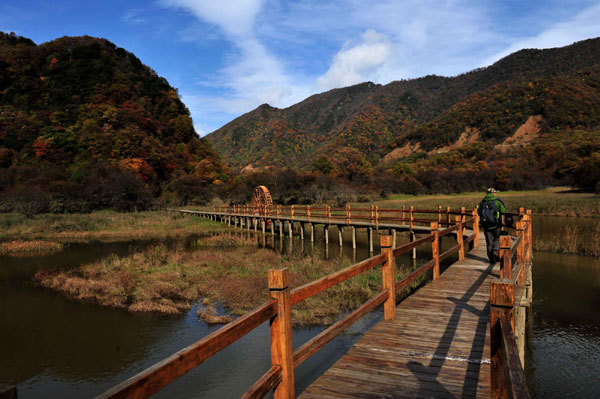 Autumn photos: Wetland view