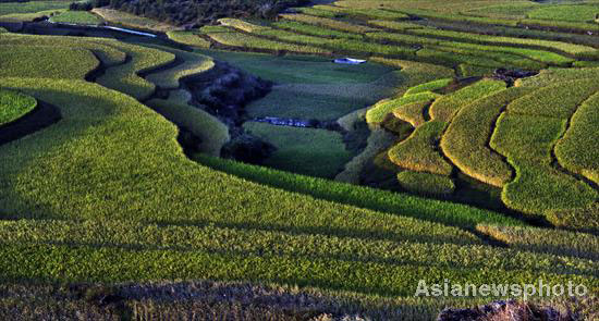 Autumn photos: Focus on fields