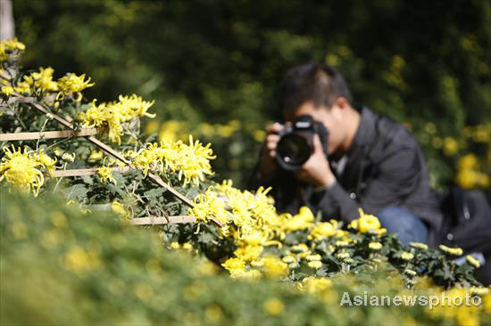 Autumn photos: Time for photographer