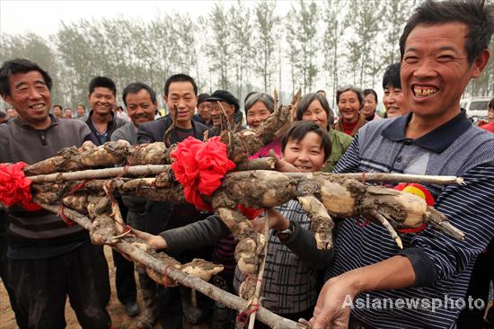 Biggest lotus root crowned in C China