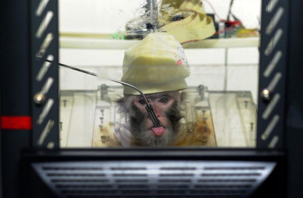 Monkeys control robots