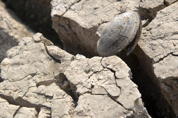 Lingering drought hits SW China's Yunnan