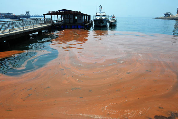 The parting of the red sea in China