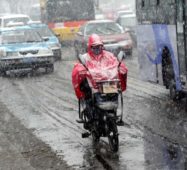 Snowfall hits NE China's Harbin