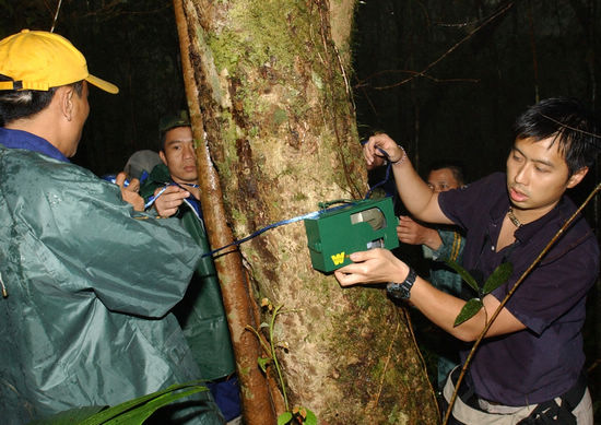 Helping preserve rainforest in S China