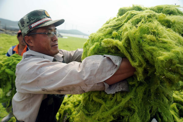 Sea grass clean-up for Asian Beach Games