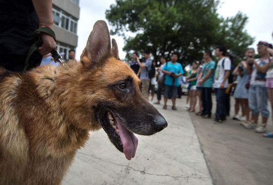 Police open day in Wuhan