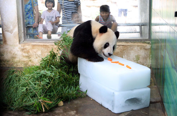 Keeping animals cool during heat wave