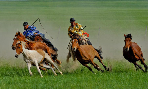 Equestrians demonstrate horse lassoing