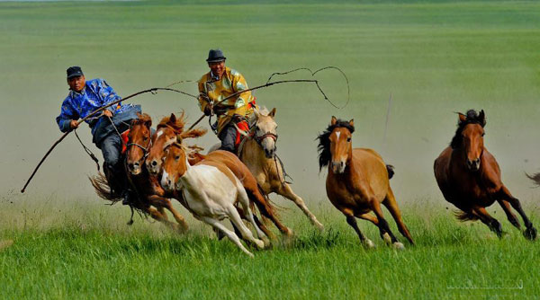 Equestrians demonstrate horse lassoing