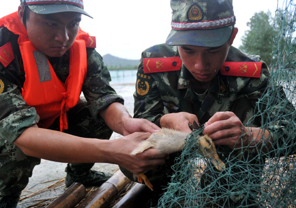 Animals protected as typhoon approaches