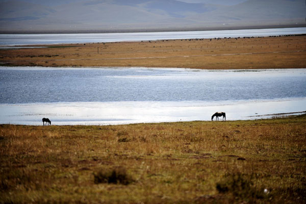 Pearl on plateau shines in China