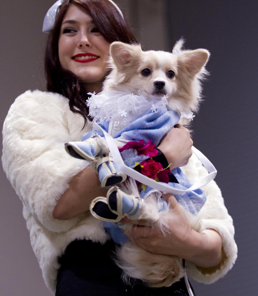 Dressed-up dogs at Winter Woofstock in Toronto