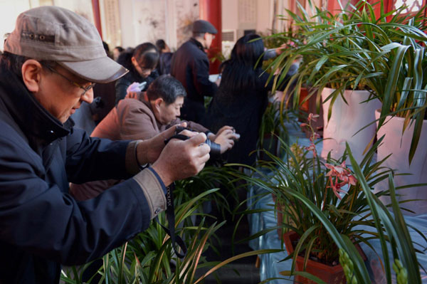 50 species of orchids from Taiwan displayed in Jinan