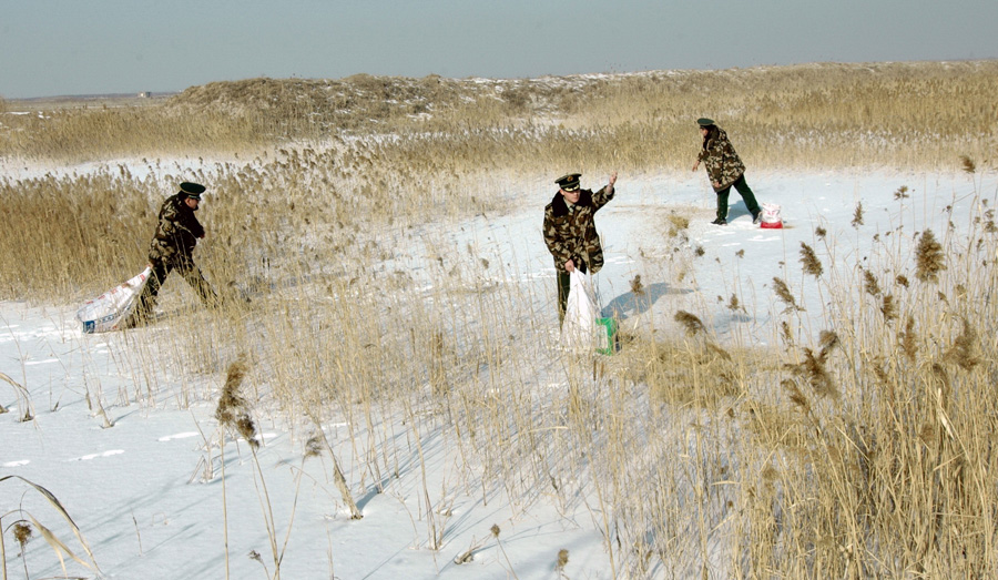 Border patrol protects migrating birds