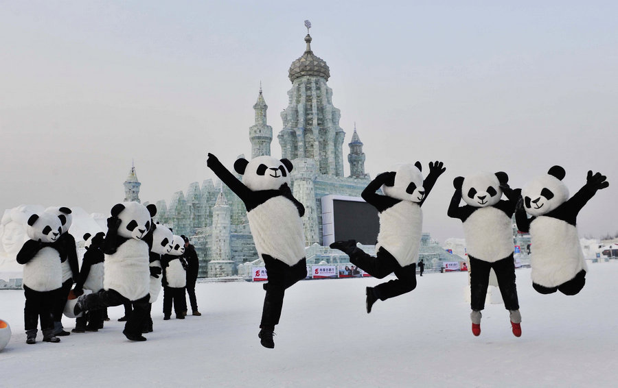 Visitors enjoy ice world