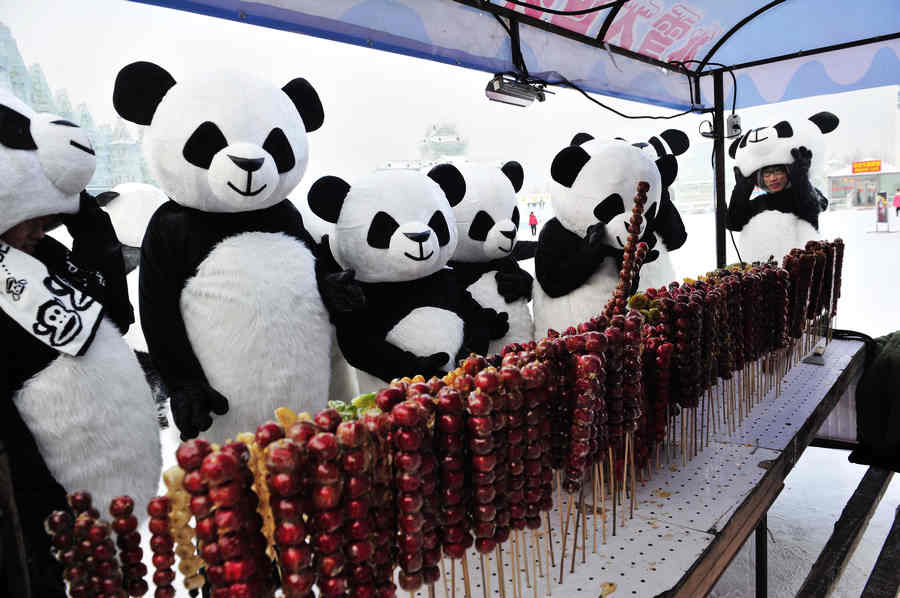 Visitors enjoy ice world