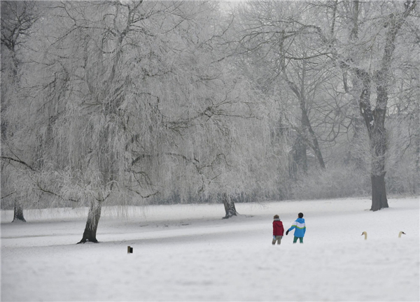 Beautiful rime scenery in Brussels