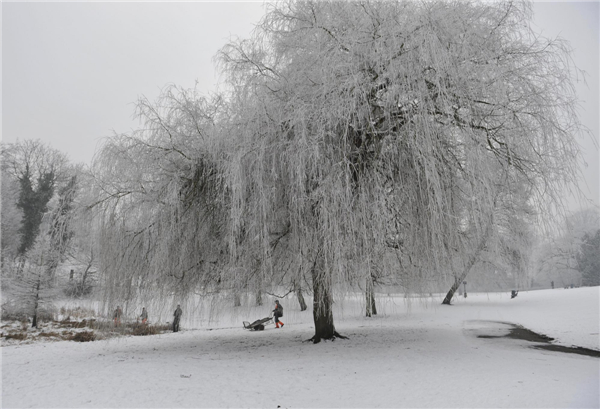 Beautiful rime scenery in Brussels