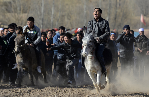 Villagers compete in donkey derby