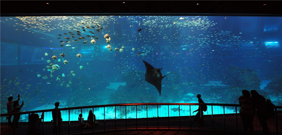 World's largest aquarium in Singapore