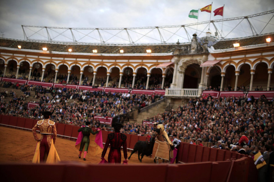 Bullfight, a tradition of Spain