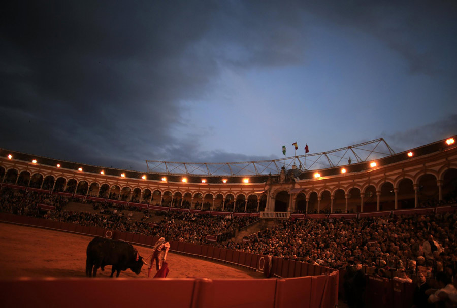 Bullfight, a tradition of Spain