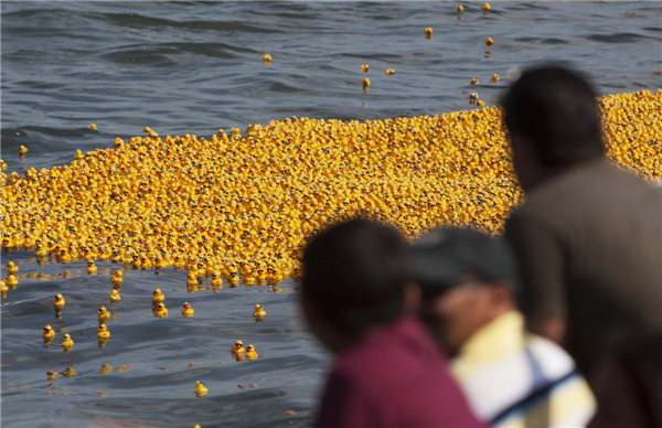 The Great Rubber Ducky Race 2013 in Mexico