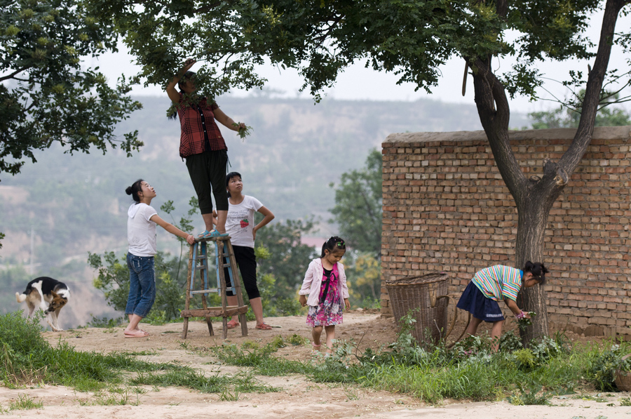 Who has more summer fun: Rural or urban kids?