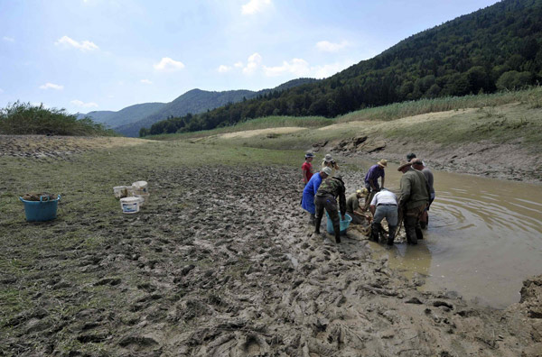 Fish rescued after lake dried up