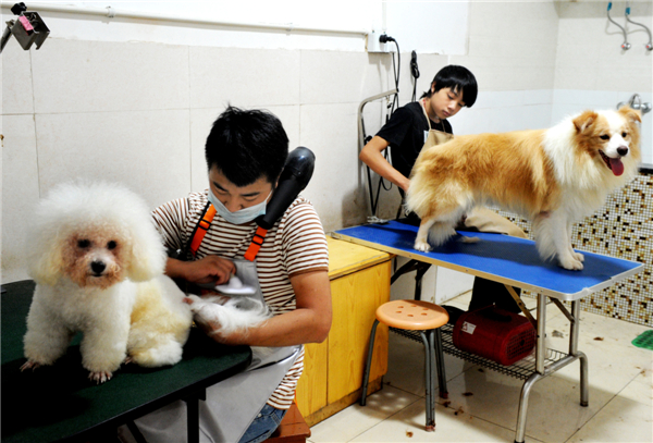 Hot pets in naked scrub down