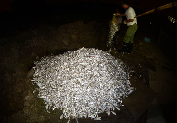 Pollution kills fish in C China river