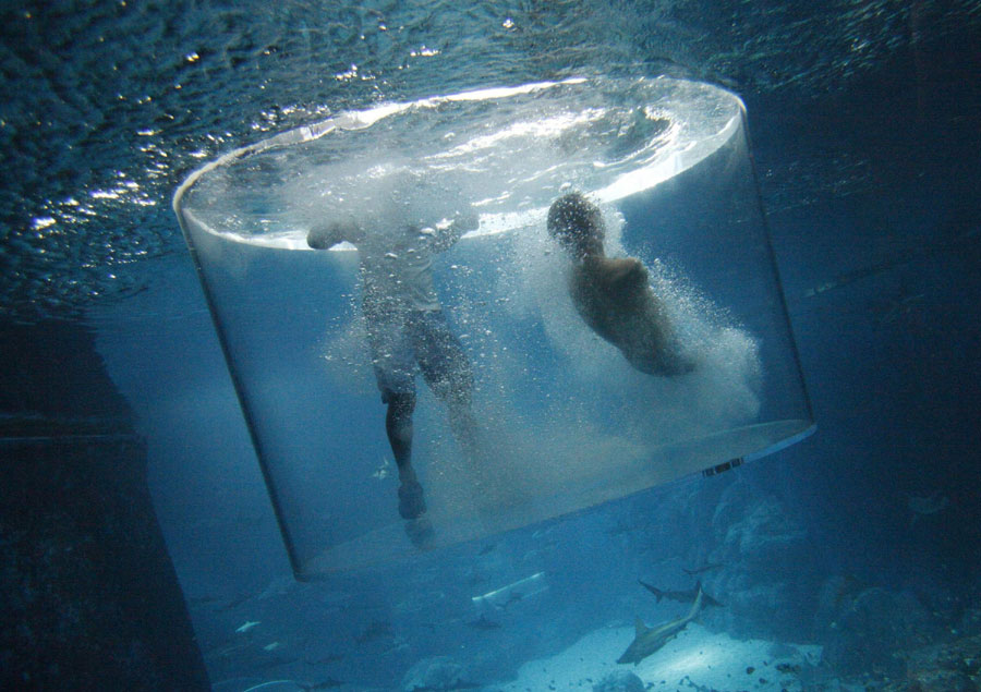 Man swims with sharks without limbs